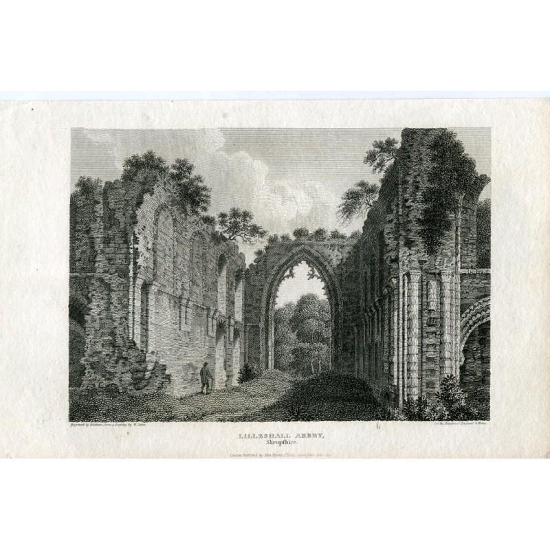 Lilleshall Abbey in Shropshire, Stich von Matthews nach einer Zeichnung von W. Carter