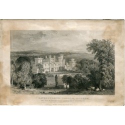Ravensworth Castle, Durham, engraved by W. Le Petit from a drawing by T. Allom