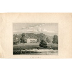 Gravure de tête de mammifère