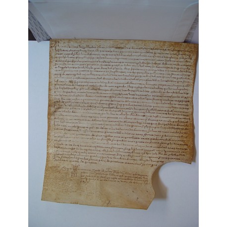 Documento notarial del siglo XVI sobre pergamino