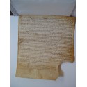 Acte notarié du XVIe siècle sur parchemin