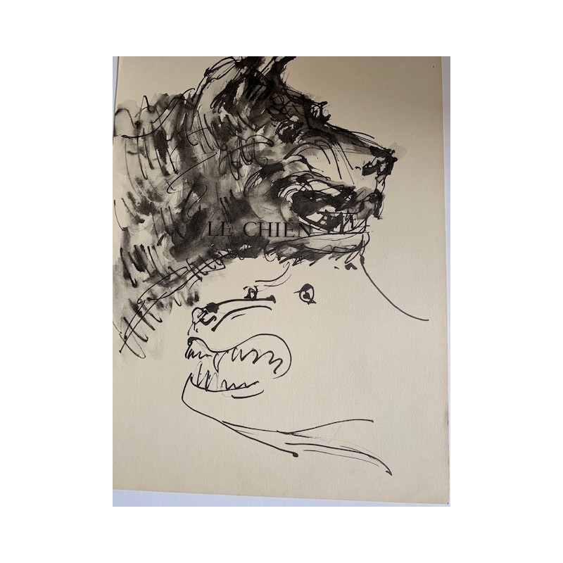 Tête de lion. Lithographie originale de Picasso publiée en 1957.