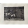Print No. 23 from Goya's Bullfighting. Mariano Ceballos, aka the Indian, kills the bull from his horse.