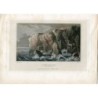 Flamborough Head e il faro incisi da J. Rogers da un disegno di N. Whittock