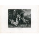 Oiseaux domestiques gravé par W. Chevalier, 1833.