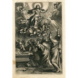 Mariä Himmelfahrt, nach Peter Paul Rubens