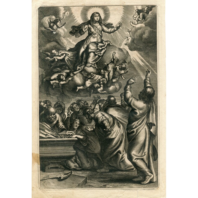 Mariä Himmelfahrt, nach Peter Paul Rubens