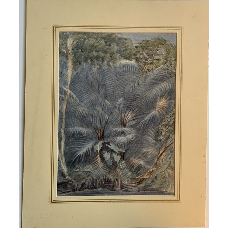 Palm trees - British watercolor - 19th century