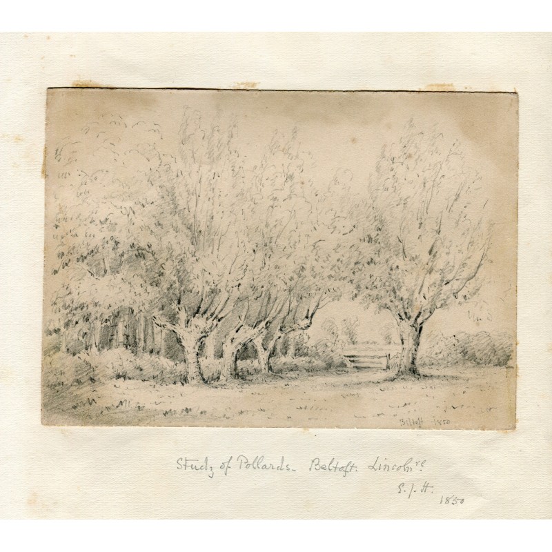 Studio di pollard a Belfast. Disegno del 1850.