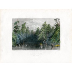 EEUU Saratoga. Barhydt's Lake grabado por E. Radclyffe, dibujó W. H. Barlett