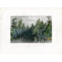 Lago de Barhydt: cerca de Saratoga. a partir de obra de WH Bartlett. Grabado por E. Radclyffe (1840)