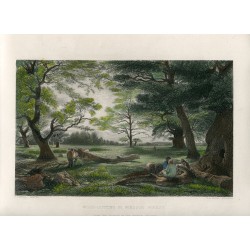Angleterre. Coupe de bois dans la forêt de Windsor gravée par TAPrior, 1851
