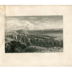 Inglaterra. Devonshire. The Tor grabado por J.C.Allen, 1860