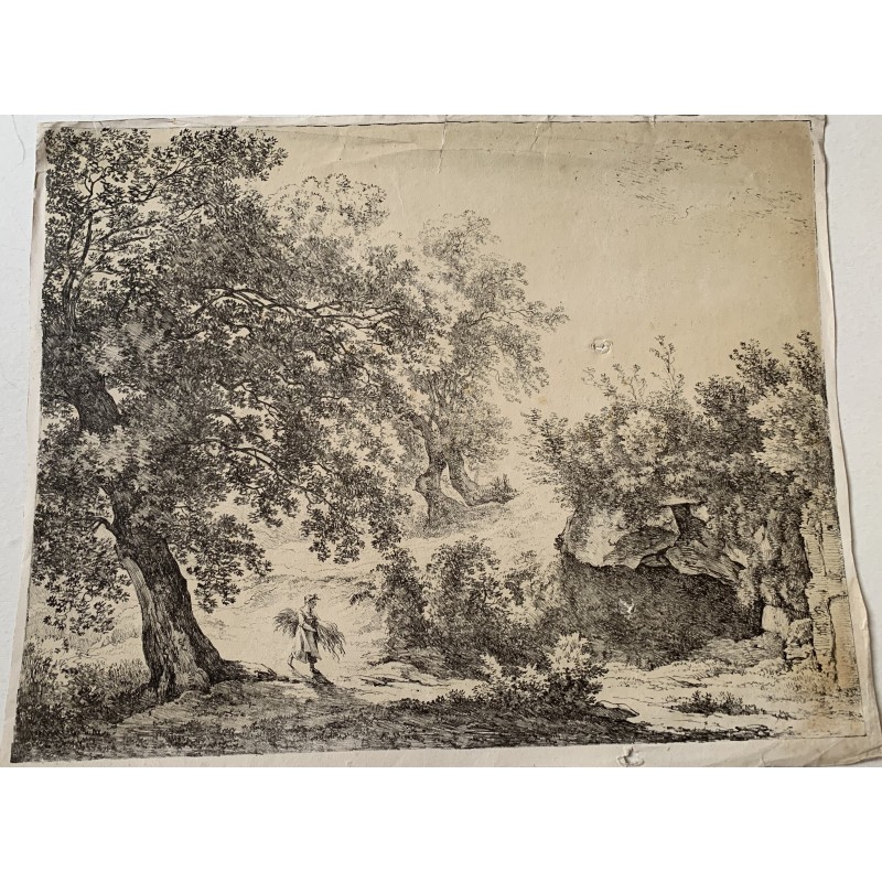 Paysage avec arbres. Lithographie probablement hollandaise.