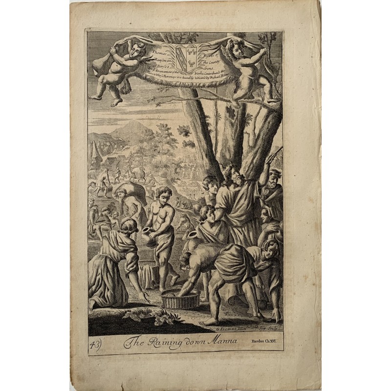 Bible. Exodus. The raining down of Manna, engraved by J. Kip after a drawing by G. Freman