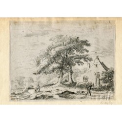 Jacob van Ruysdael. Niederländische ländliche Landschaft.