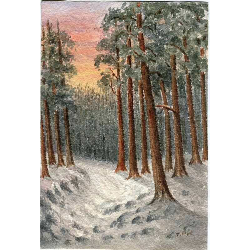 Wald. Aquarell der englischen Schule, signiert T. Pye