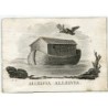 Noah's Ark engraved by Vicente Capilla from a drawing by A. Rodriguez
