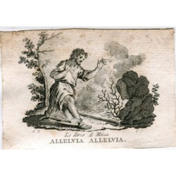 Le Buisson de Moïse. Gravure de V. Capilla d'après un dessin d'A. Rodriguez.