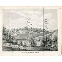 View in central Park N. Y. litografia por Geo. Hayward en 1861, litografia.