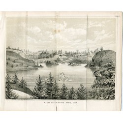 Central Park Nueva York (1861)