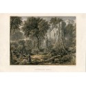 Scotland. Dunfermline lithograph by T. Picken from a work by DOHill