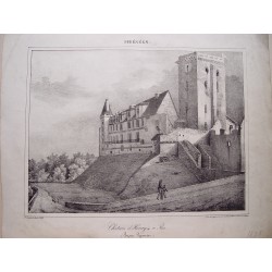 Litografía antigua. Castillo de Enrique IV en Pau (Pirineos), 1828.
