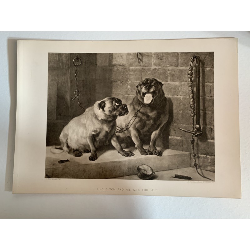 Uncle Tom and his wife ilustration after E.H. Landseer