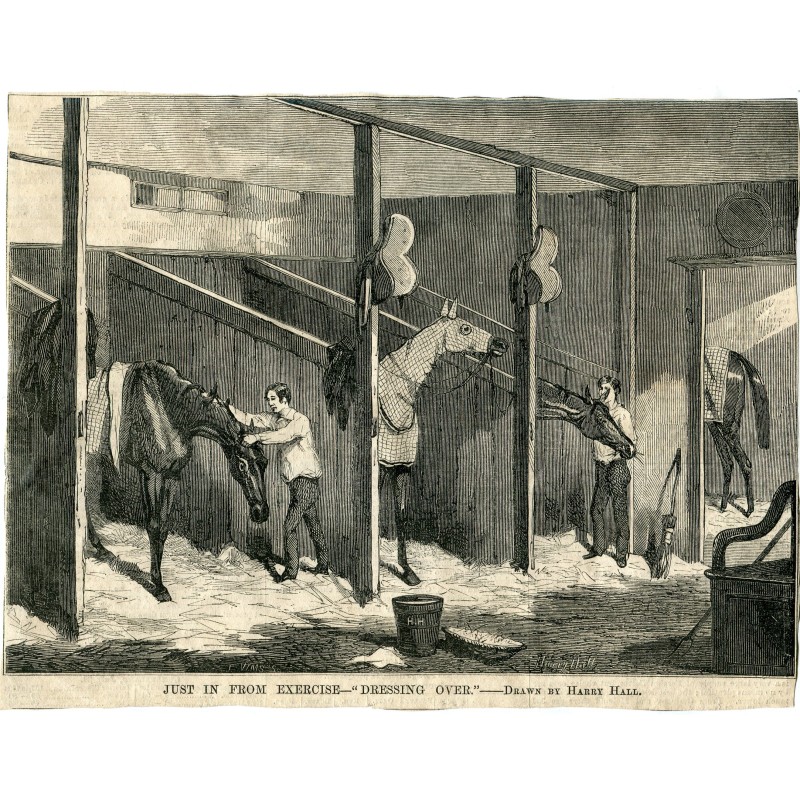 Adine, Gewinnerin der Goodwood Stakes und gerade vom Training zurück - Harry Hall