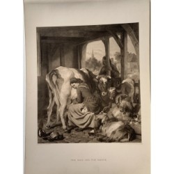 Das Mädchen und die Elster, Fotogravur von WB Jobson, Kopie einer Zeichnung von Edwin Landseer