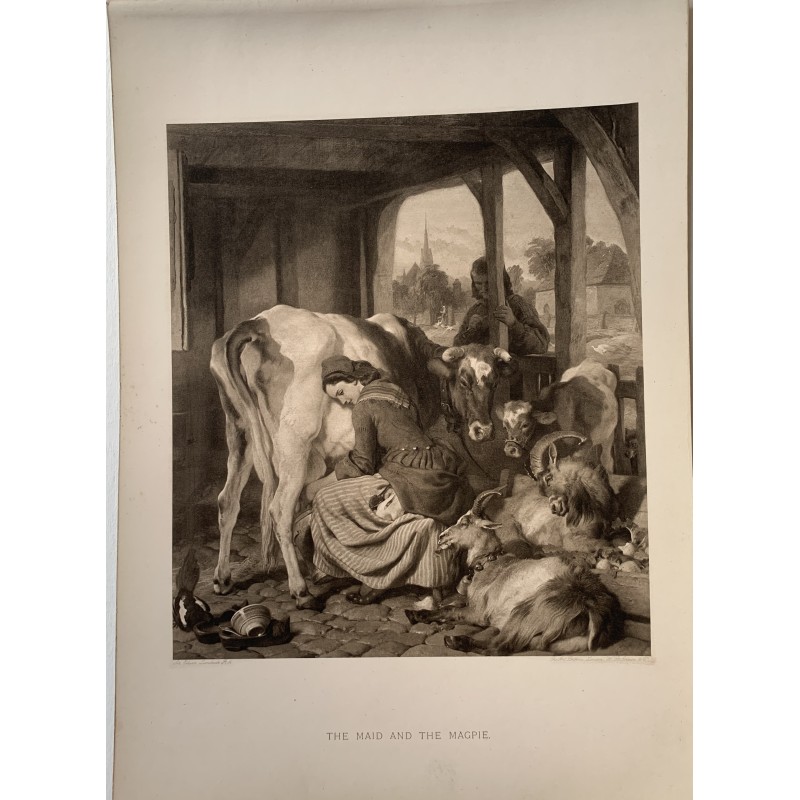 The Maid and the Magpie, photoengraving by W.B. Jobson, copy of a drawing by Edwin Landseer