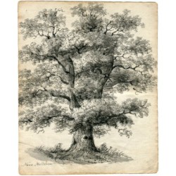 England. Tree. Anonymous English watercolor titled near Melksham