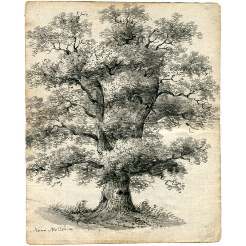 England. Tree. Anonymous English watercolor titled near Melksham
