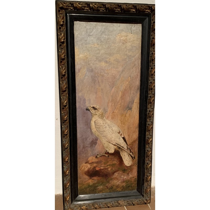 Antique Oil Painting of Hawk / Falcon