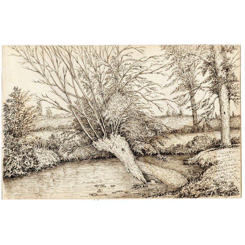 Alberi sul fiume Wey - Shalford, Surrey - disegno del 1800