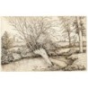 Alberi sul fiume Wey - Shalford, Surrey - disegno del 1800