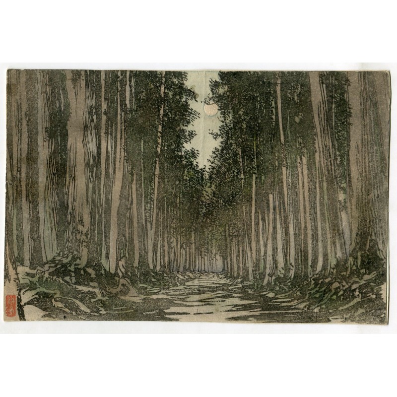 Cedar trees on the Nikko Kaido, Japan - Antique engraving