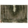 Cedar trees on the Nikko Kaido, Japan - Antique engraving