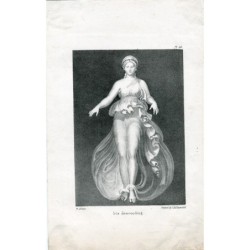 Iris descendant dessiné par W. Sharpe.