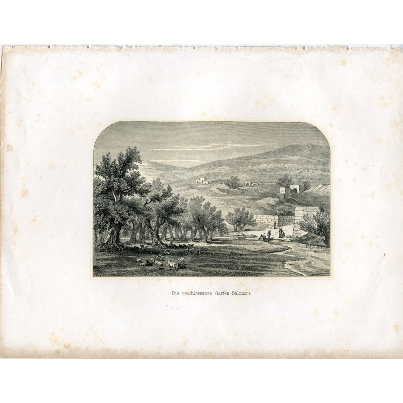 Israel.Bethlehem. Die geschlossenen Garten Salomon's. 19th century engraving.