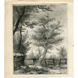 Bäume. Kupferstich signiert R. Hunter.