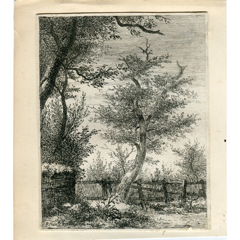 Alberi. Incisione firmata R. Hunter.