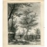 Trees. Engraving signed R. Hunter.