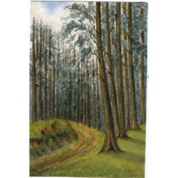 Wald. Unleserliches signiertes Aquarell.