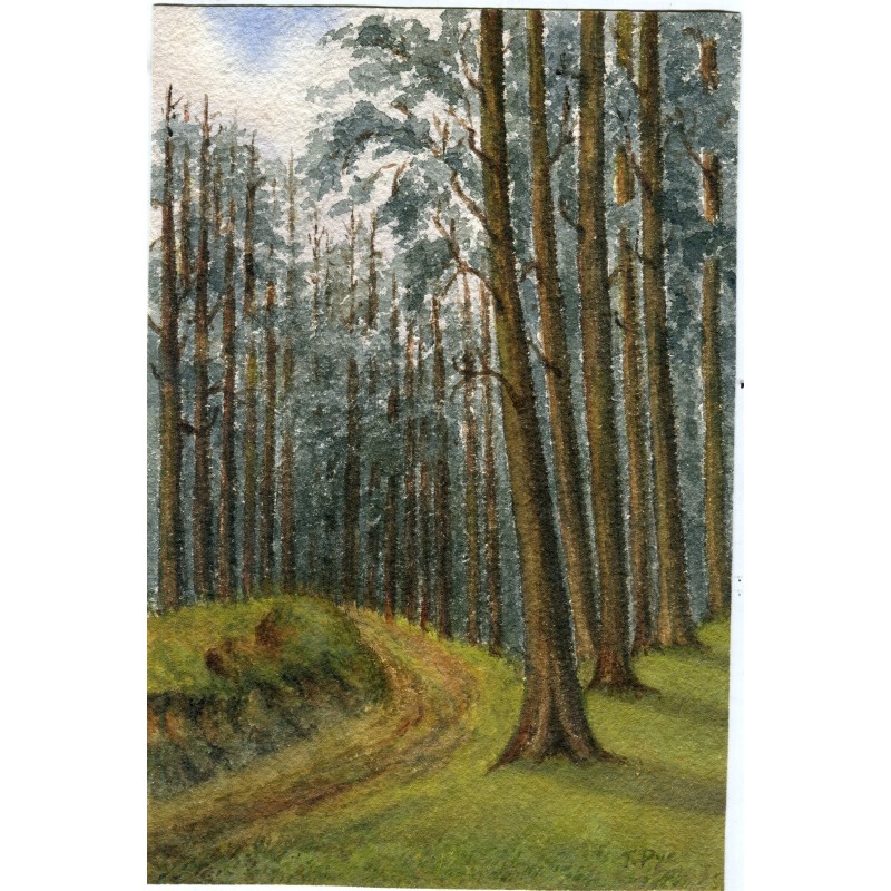 Bosque. Acuarela firmada ilegible.