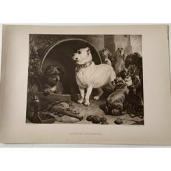 Alexander und Diogenes. Heliogravüre für die Kunstportfolio-Kopie von Edwin Landseer.