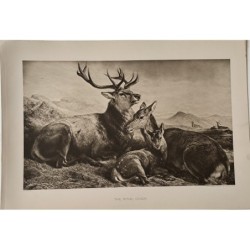 Die königliche Couch, Heliogravüre für die Kopie von The Art Portfolio von SJ Carter.