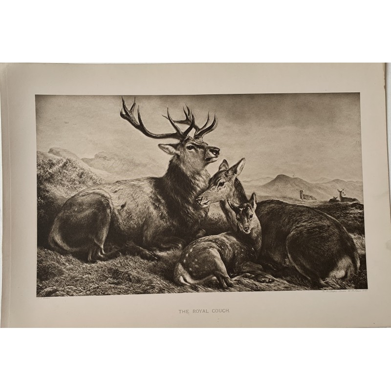 Die königliche Couch, Heliogravüre für die Kopie von The Art Portfolio von SJ Carter.