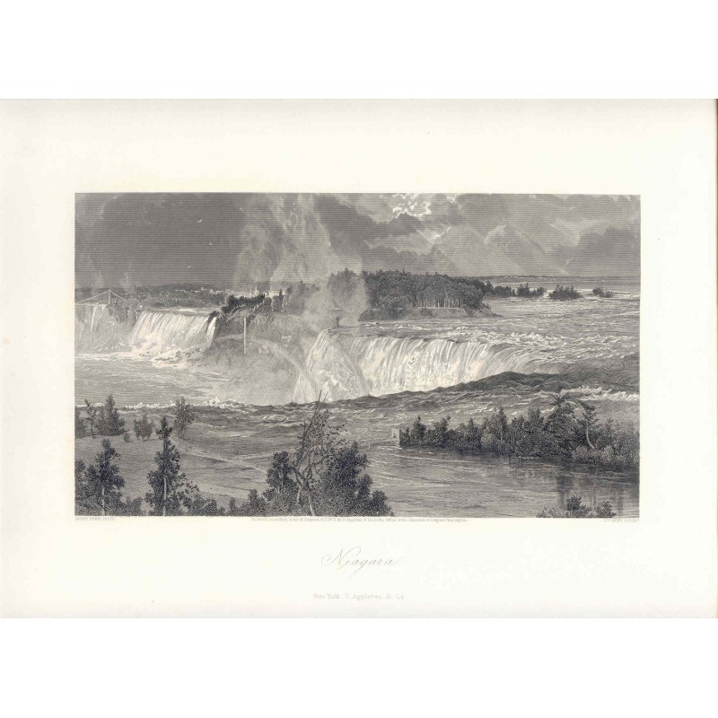 Niagara, nach H.Fenn. SV Hunt (1873)