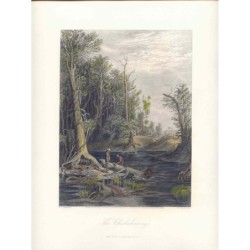 Die Chickahominy, nach William Ludlow Sheppard. W. Wellstood (1872)